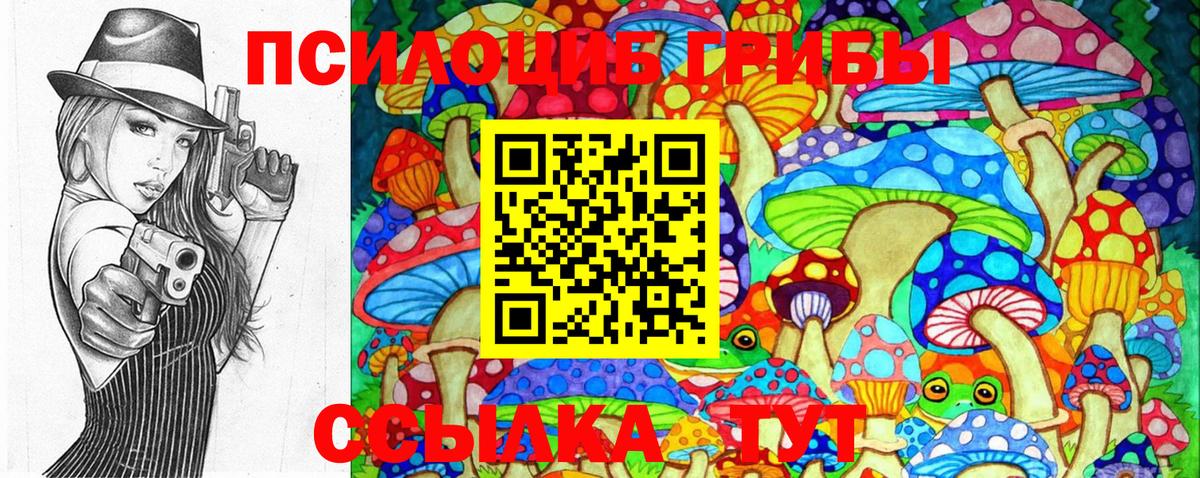 Псилоцибиновые грибы Psilocybe Солнечногорск